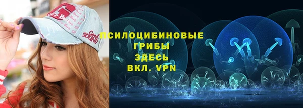 2c-b Пестово