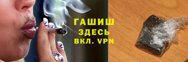 2c-b Пестово