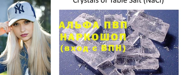 2c-b Пестово