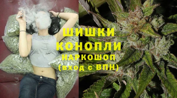 2c-b Пестово